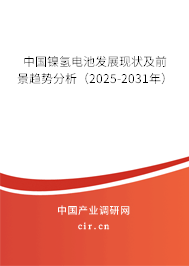 中國鎳氫電池發(fā)展現(xiàn)狀及前景趨勢分析（2025-2031年）