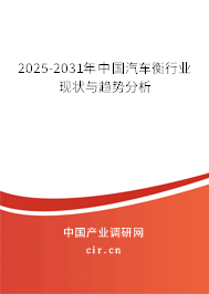 2025-2031年中國(guó)汽車衡行業(yè)現(xiàn)狀與趨勢(shì)分析