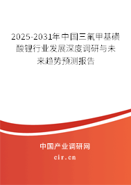 2025-2031年中國三氟甲基磺酸鋰行業(yè)發(fā)展深度調(diào)研與未來趨勢預(yù)測報(bào)告 2025-2031年中國三氟甲基磺酸鋰行業(yè)發(fā)展深度調(diào)研與未來趨勢預(yù)測報(bào)告