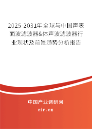 2025-2031年全球與中國(guó)聲表面波濾波器&體聲波濾波器行業(yè)現(xiàn)狀及前景趨勢(shì)分析報(bào)告
