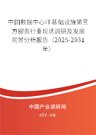 中國數(shù)據(jù)中心IT基礎(chǔ)設(shè)施第三方服務(wù)行業(yè)現(xiàn)狀調(diào)研及發(fā)展前景分析報告（2025-2031年）