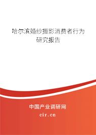 哈爾濱婚紗攝影消費(fèi)者行為研究報(bào)告