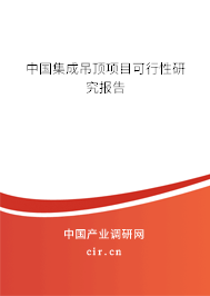 中國(guó)集成吊頂項(xiàng)目可行性研究報(bào)告