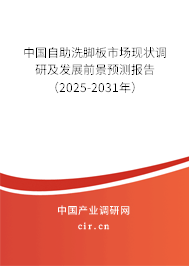 中國自助洗腳板市場現(xiàn)狀調(diào)研及發(fā)展前景預(yù)測報告（2025-2031年）