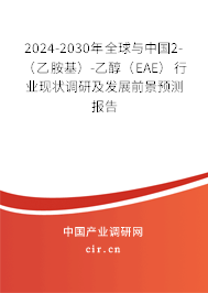 2024-2030年全球與中國2-（乙胺基）-乙醇（EAE）行業(yè)現(xiàn)狀調(diào)研及發(fā)展前景預(yù)測報告