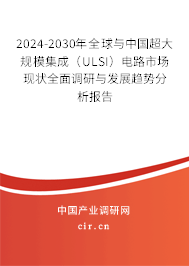 2024-2030年全球與中國超大規(guī)模集成（ULSI）電路市場現(xiàn)狀全面調(diào)研與發(fā)展趨勢分析報告