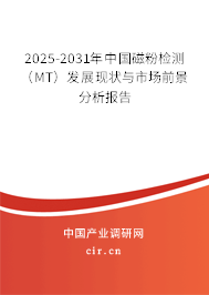 2025-2031年中國磁粉檢測（MT）發(fā)展現(xiàn)狀與市場前景分析報(bào)告