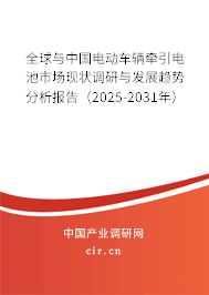 全球與中國電動車輛牽引電池市場現(xiàn)狀調(diào)研與發(fā)展趨勢分析報告（2024-2030年）