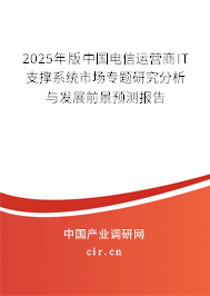 2025年版中國(guó)電信運(yùn)營(yíng)商IT支撐系統(tǒng)市場(chǎng)專題研究分析與發(fā)展前景預(yù)測(cè)報(bào)告