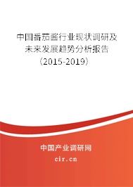 中國番茄醬行業(yè)現(xiàn)狀調研及未來發(fā)展趨勢分析報告（2015-2019）