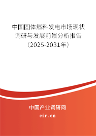 中國(guó)固體燃料發(fā)電市場(chǎng)現(xiàn)狀調(diào)研與發(fā)展前景分析報(bào)告（2025-2031年）
