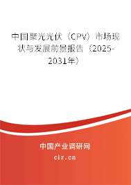中國聚光光伏（CPV）市場現(xiàn)狀與發(fā)展前景報(bào)告（2025-2031年）
