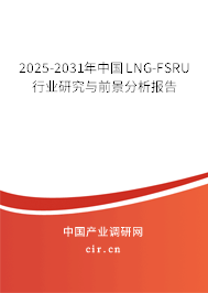 2025-2031年中國LNG-FSRU行業(yè)研究與前景分析報告