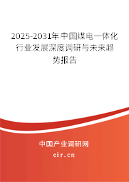 2025-2031年中國(guó)煤電一體化行業(yè)發(fā)展深度調(diào)研與未來(lái)趨勢(shì)報(bào)告