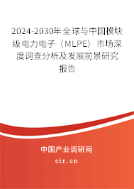 2024-2030年全球與中國模塊級電力電子（MLPE）市場深度調(diào)查分析及發(fā)展前景研究報告