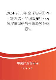 2024-2030年全球與中國PP（聚丙烯）非織造布行業(yè)發(fā)展深度調研與未來趨勢分析報告