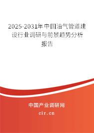 2025-2031年中國油氣管道建設(shè)行業(yè)調(diào)研與前景趨勢分析報告
