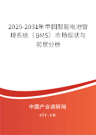 2025-2031年中國智能電池管理系統(tǒng)（BMS）市場(chǎng)現(xiàn)狀與前景分析