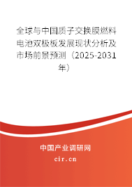 全球與中國(guó)質(zhì)子交換膜燃料電池雙極板發(fā)展現(xiàn)狀分析及市場(chǎng)前景預(yù)測(cè)（2025-2031年）