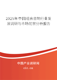 2025年中國組合音響行業(yè)發(fā)展調(diào)研與市場前景分析報告
