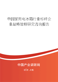 中國家用電冰箱行業(yè)標(biāo)桿企業(yè)戰(zhàn)略管理研究咨詢報告