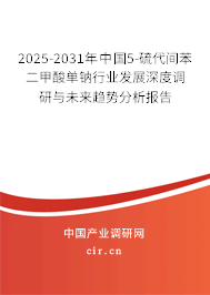 2025-2031年中國(guó)5-硫代間苯二甲酸單鈉行業(yè)發(fā)展深度調(diào)研與未來趨勢(shì)分析報(bào)告