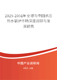 2025-2031年全球與中國承壓熱水鍋爐市場深度調(diào)研與發(fā)展趨勢