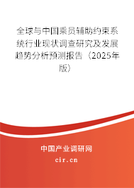 全球與中國(guó)乘員輔助約束系統(tǒng)行業(yè)現(xiàn)狀調(diào)查研究及發(fā)展趨勢(shì)分析預(yù)測(cè)報(bào)告（2024年版）