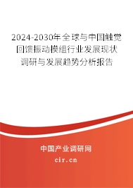2024-2030年全球與中國(guó)觸覺回饋振動(dòng)模組行業(yè)發(fā)展現(xiàn)狀調(diào)研與發(fā)展趨勢(shì)分析報(bào)告