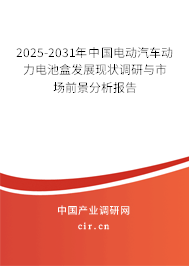 2025-2031年中國電動汽車動力電池盒發(fā)展現(xiàn)狀調(diào)研與市場前景分析報(bào)告