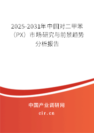 2025-2031年中國(guó)對(duì)二甲苯（PX）市場(chǎng)研究與前景趨勢(shì)分析報(bào)告