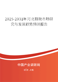 2025-2031年河北鞋靴市場研究與發(fā)展趨勢預(yù)測報(bào)告 2025-2031年河北鞋靴市場研究與發(fā)展趨勢預(yù)測報(bào)告