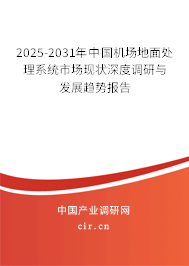 2024-2030年中國(guó)機(jī)場(chǎng)地面處理系統(tǒng)市場(chǎng)現(xiàn)狀深度調(diào)研與發(fā)展趨勢(shì)報(bào)告