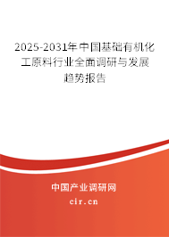 中國(guó)基礎(chǔ)有機(jī)化工原料行業(yè)調(diào)查分析及發(fā)展趨勢(shì)預(yù)測(cè)報(bào)告（2025-2031年）