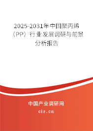 2025-2031年中國聚丙烯（PP）行業(yè)發(fā)展調(diào)研與前景分析報(bào)告
