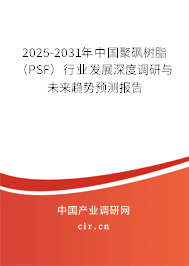 2025-2031年中國聚砜樹脂（PSF）行業(yè)發(fā)展深度調研與未來趨勢預測報告