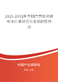 2025-2031年中國六方氮化硼粉末行業(yè)研究與發(fā)展趨勢預(yù)測