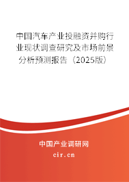 中國汽車產(chǎn)業(yè)投融資并購行業(yè)現(xiàn)狀調(diào)查研究及市場前景分析預(yù)測報告（2025版）