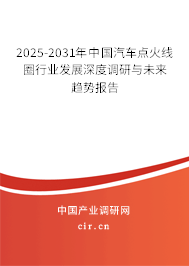 2025-2031年中國汽車點(diǎn)火線圈行業(yè)發(fā)展深度調(diào)研與未來趨勢報(bào)告