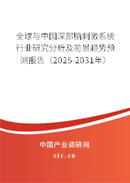 全球與中國深部腦刺激系統(tǒng)行業(yè)研究分析及前景趨勢預(yù)測報告（2025-2031年）