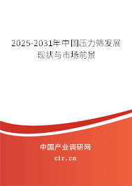 2024-2030年中國壓力篩發(fā)展現(xiàn)狀與市場前景