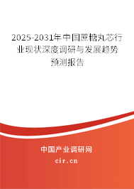 2025-2031年中國(guó)蔗糖丸芯行業(yè)現(xiàn)狀深度調(diào)研與發(fā)展趨勢(shì)預(yù)測(cè)報(bào)告