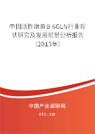 中國(guó)活性嫩黃B-6GLN行業(yè)現(xiàn)狀研究及發(fā)展前景分析報(bào)告（2013年）