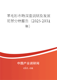 羊毛衫市場深度調(diào)研及發(fā)展前景分析報告（2025-2031年）