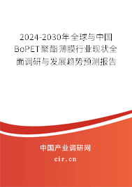 2024-2030年全球與中國BoPET聚酯薄膜行業(yè)現狀全面調研與發(fā)展趨勢預測報告