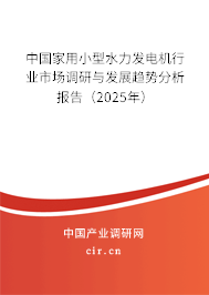 中國家用小型水力發(fā)電機行業(yè)市場調研與發(fā)展趨勢分析報告（2025年）
