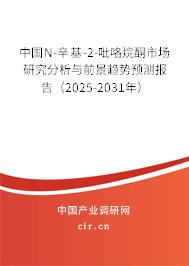 中國N-辛基-2-吡咯烷酮市場研究分析與前景趨勢預(yù)測報告（2025-2031年）