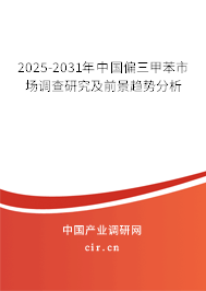 2025-2031年中國偏三甲苯市場調(diào)查研究及前景趨勢分析 2025-2031年中國偏三甲苯市場調(diào)查研究及前景趨勢分析