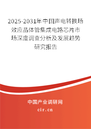 2025-2031年中國(guó)聲電轉(zhuǎn)換場(chǎng)效應(yīng)晶體管集成電路芯片市場(chǎng)深度調(diào)查分析及發(fā)展趨勢(shì)研究報(bào)告