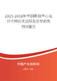 2025-2031年中國數據中心光纖市場現狀調研及前景趨勢預測報告